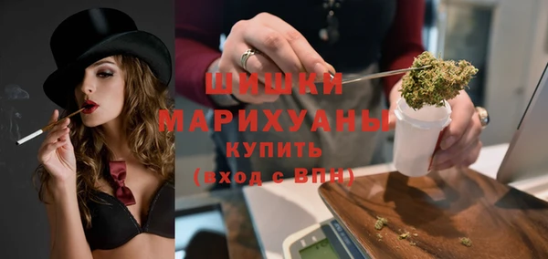 индика Алзамай