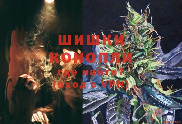 индика Алзамай