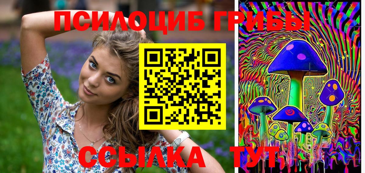 Красноярск  Галлюциногенные грибы Cubensis  Псилоцибиновые грибы MAGIC MUSHROOMS  Вход с VPN 