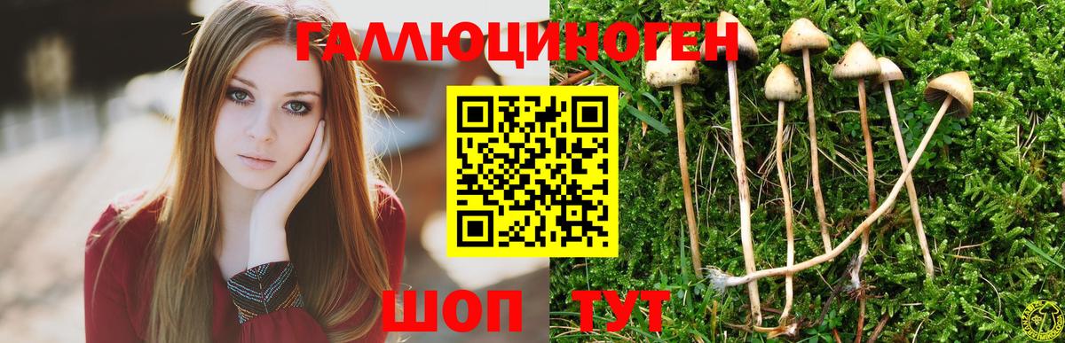 Галлюциногенные грибы мицелий Красноярск