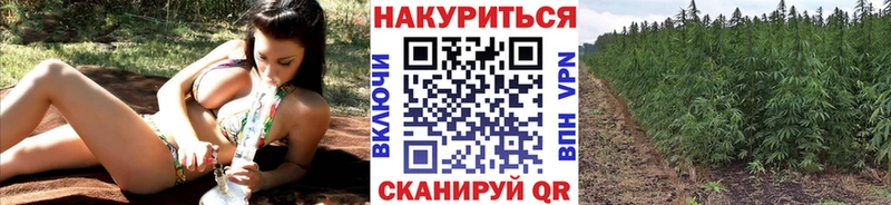 Канабис тримм  купить наркоту  Красноярск 